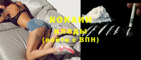 дурь Арсеньев
