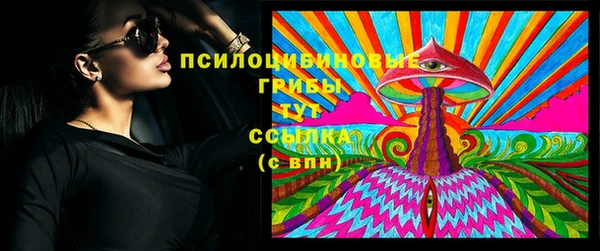дурь Арсеньев