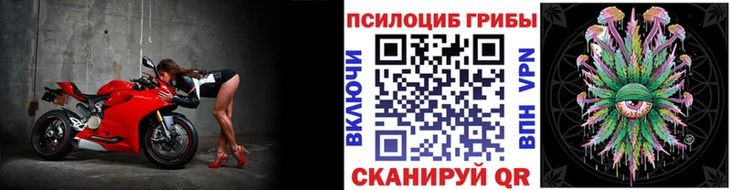Псилоцибиновые грибы мицелий  ОМГ ОМГ ССЫЛКА  Салехард  магазин продажи  